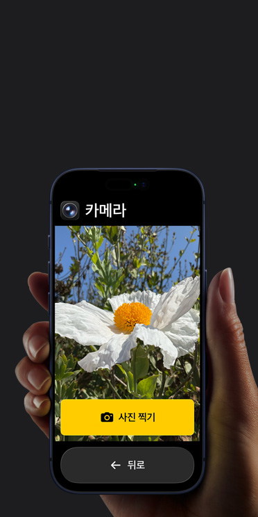 단순화된 카메라 앱 인터페이스에 하얀색 꽃을 보여주는 프레임 및 그 아래에 있는 사진 찍기 버튼과 뒤로 버튼이 표시된 iPhone 16 Pro 화면 