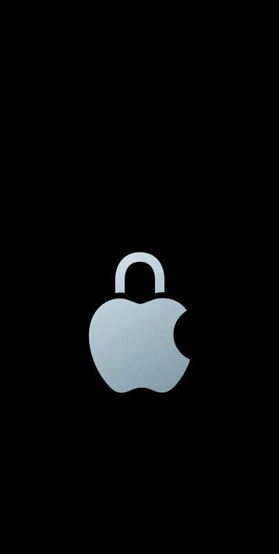 Logo de privacidad de Apple.