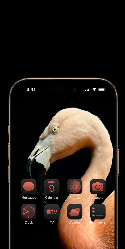 Obrazovka iPhonu 16 s působivou fotografií růžového plameňáka z profilu a barevně sladěnými widgety.