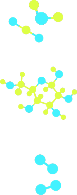 Cinq modèles moléculaires, soit un de dioxyde de carbone, un d’eau, un de glucose et deux d’oxygène.