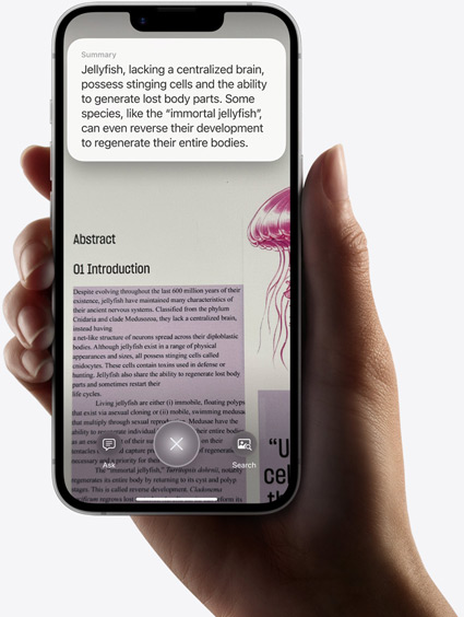 En hånd holder en iPhone 16e, der viser resultater fra en søgning med visuel intelligens.