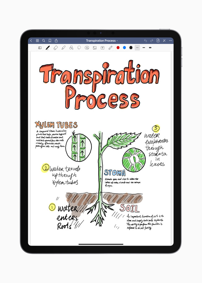 Et stillbilde fra årets iPad-app GoodNotes 5.