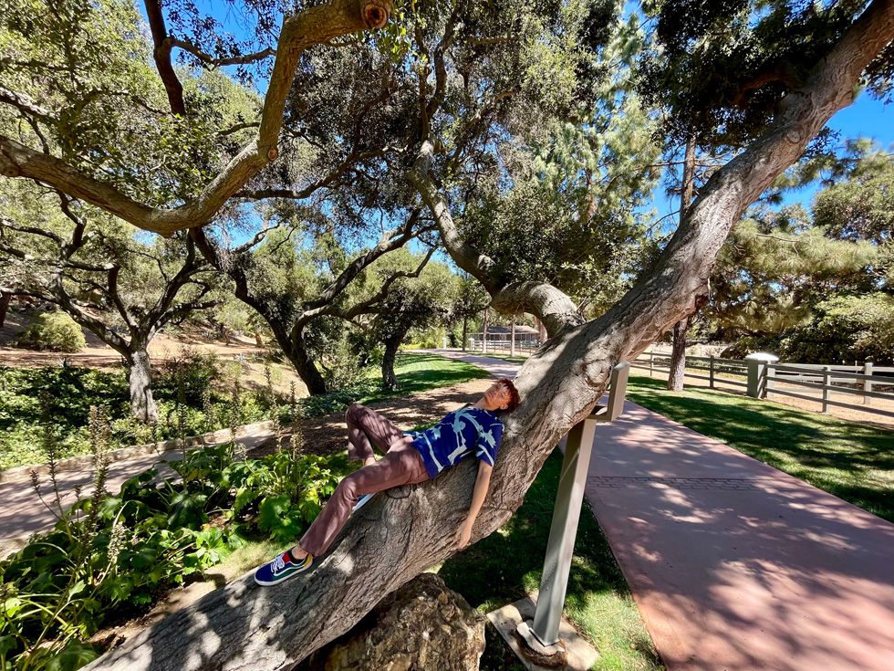 iPhone 12’de iç mekanda loş ışıkta çekilmiş bir genç kız fotoğrafı. 